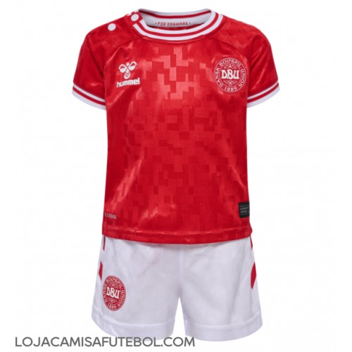 Camisa de Futebol Dinamarca Equipamento Principal Infantil Europeu 2024 Manga Curta (+ Calças curtas)